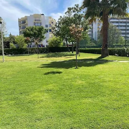 Apartamento Paraiso Sol Da Rocha 公寓